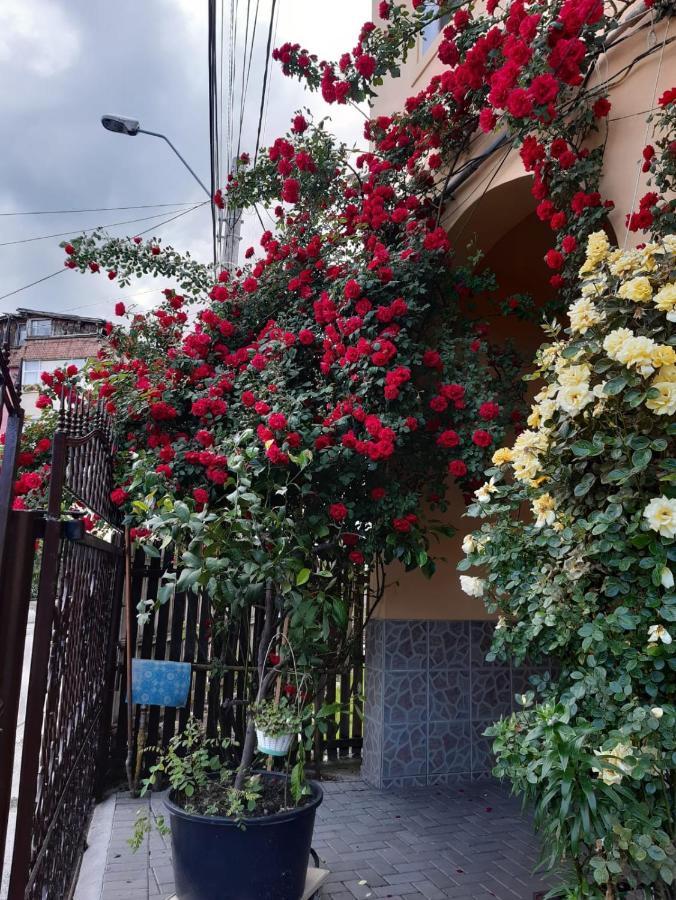 Pensiunea Cristiana Curtea De Arges Exterior photo